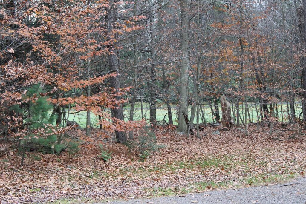 Tobyhanna Luxury 4 Bedroom House In Pocono Mountains In Golf Course Near Lake מראה חיצוני תמונה
